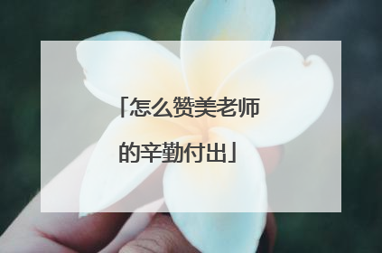怎么赞美老师的辛勤付出