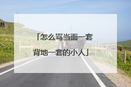 怎么骂当面一套背地一套的小人
