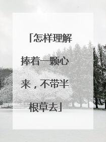 怎样理解捧着一颗心来,不带半根草去