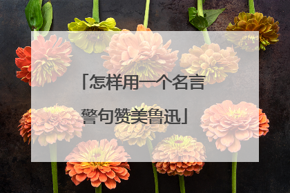 怎样用一个名言警句赞美鲁迅