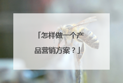 怎样做一个产品营销方案?