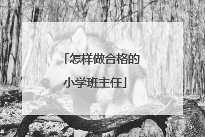 怎样做合格的小学班主任