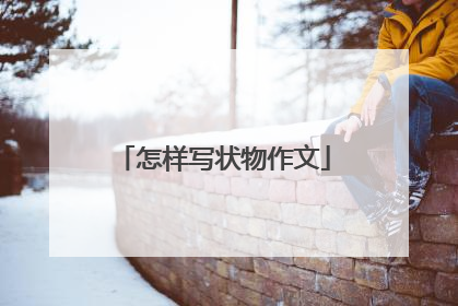 怎样写状物作文