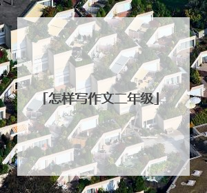 怎样写作文二年级