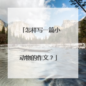 怎样写一篇小动物的作文?