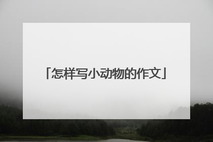 怎样写小动物的作文