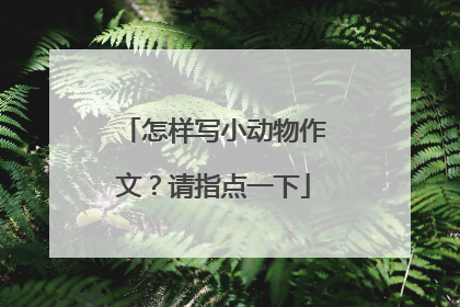 怎样写小动物作文？请指点一下
