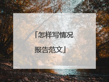 怎样写情况报告范文