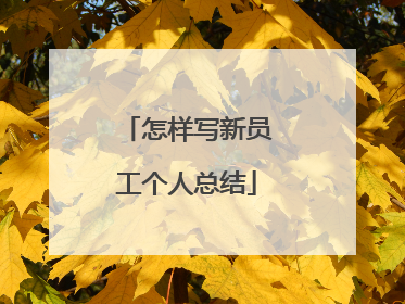 怎样写新员工个人总结