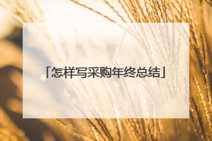 怎样写采购年终总结