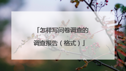 怎样写问卷调查的调查报告(格式)