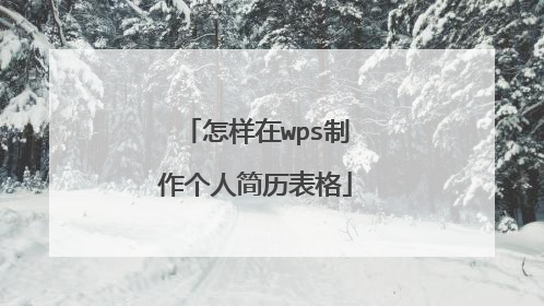 怎样在wps制作个人简历表格