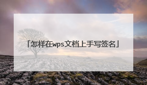 怎样在wps文档上手写签名