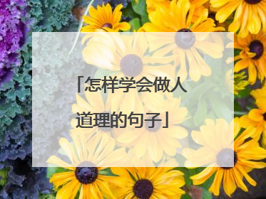 怎样学会做人道理的句子