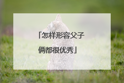 怎样形容父子俩都很优秀