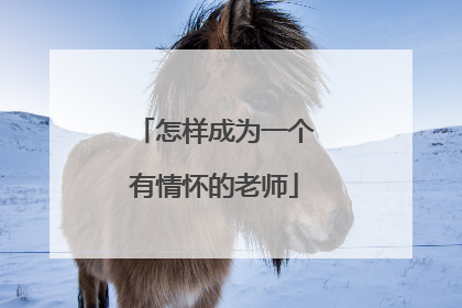 怎样成为一个有情怀的老师