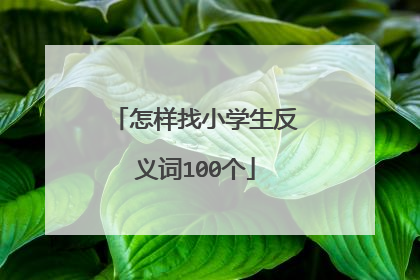 怎样找小学生反义词100个