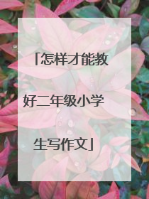 怎样才能教好二年级小学生写作文