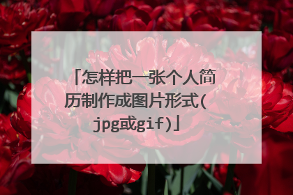 怎样把一张个人简历制作成图片形式(jpg或gif)