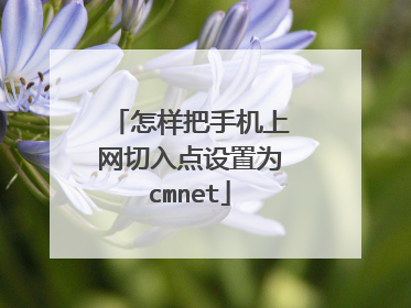 怎样把手机上网切入点设置为cmnet