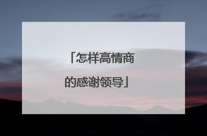 怎样高情商的感谢领导