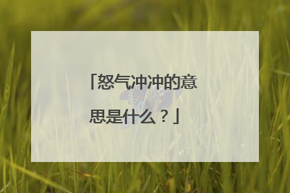 怒气冲冲的意思是什么?