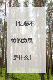 怙恶不悛的意思是什么