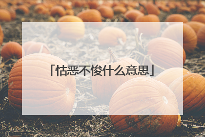 怙恶不悛什么意思