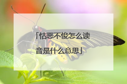 怙恶不悛怎么读音是什么意思