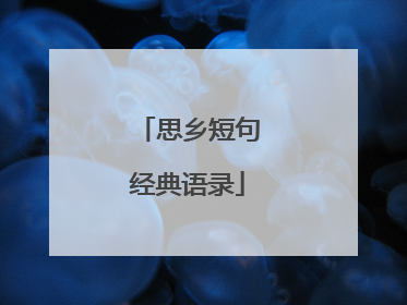 思乡短句经典语录