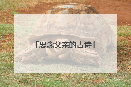 思念父亲的古诗