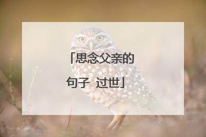 思念父亲的句子 过世