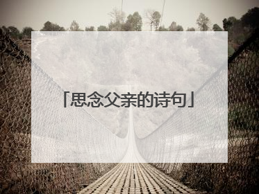 思念父亲的诗句