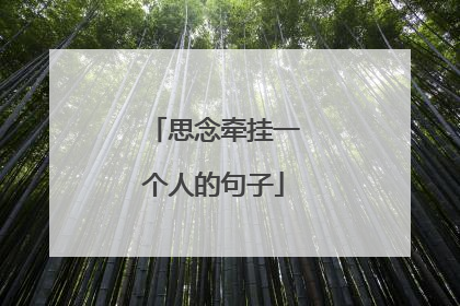 思念牵挂一个人的句子