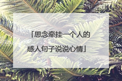 思念牵挂一个人的感人句子说说心情