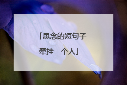 思念的短句子牵挂一个人