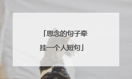 思念的句子牵挂一个人短句