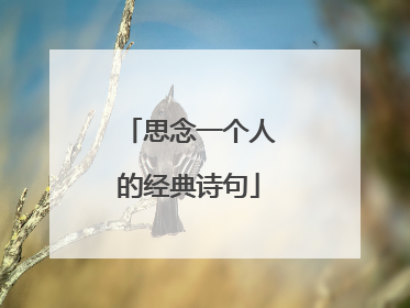 思念一个人的经典诗句