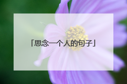 思念一个人的句子
