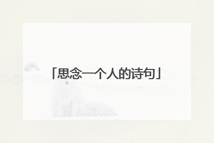 思念一个人的诗句