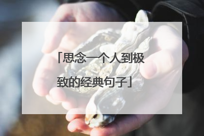思念一个人到极致的经典句子