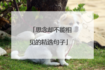思念却不能相见的精选句子