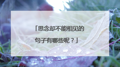 思念却不能相见的句子有哪些呢?