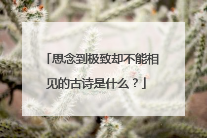 思念到极致却不能相见的古诗是什么?