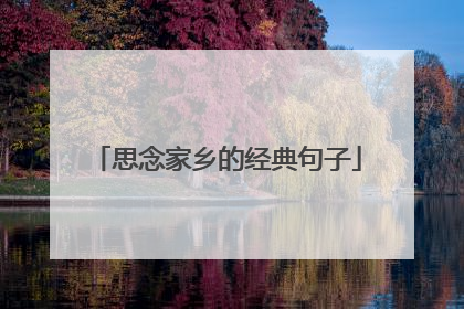 思念家乡的经典句子