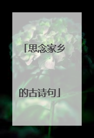 思念家乡的古诗句