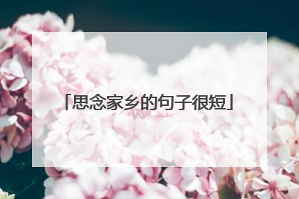 思念家乡的句子很短