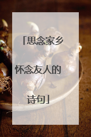 思念家乡怀念友人的诗句