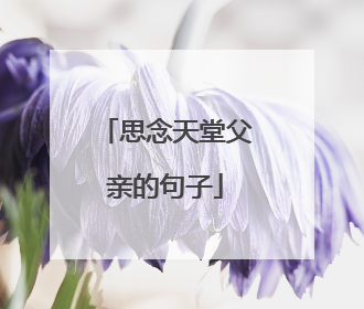 思念天堂父亲的句子