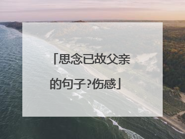 思念已故父亲的句子?伤感